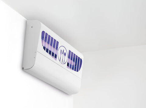 Insektenvernichter mit Klebeplatten 100 m²