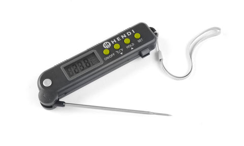 Thermometer mit einklappbarer Sonde