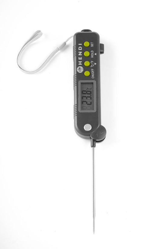 Thermometer mit einklappbarer Sonde