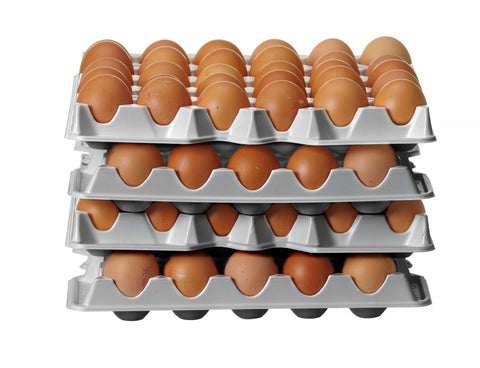 Set aus 4 Eierbehältereinsätzen für HENDI OVOBOX 120